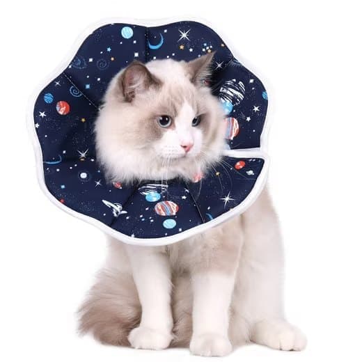 Beskyttelseshalsbånd til katte, velegnet til katte og små hunde, justerbart halshalsbånd til katte