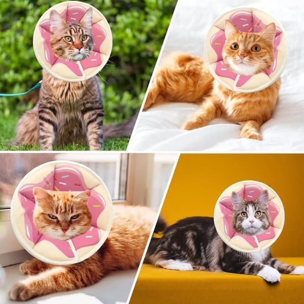 Beskyttelseshalsbånd til katte, velegnet til katte og små hunde, justerbart halshalsbånd til katte