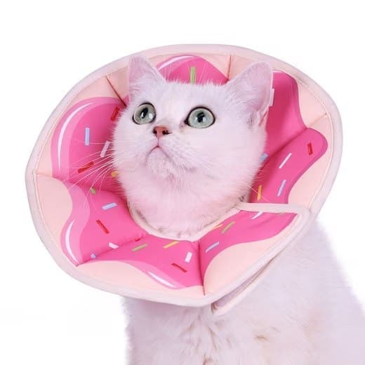 Beskyttelseshalsbånd til katte, velegnet til katte og små hunde, justerbart halshalsbånd til katte