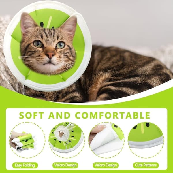 Beskyttelseshalsbånd til katte, velegnet til katte og små hunde, justerbart halshalsbånd til katte