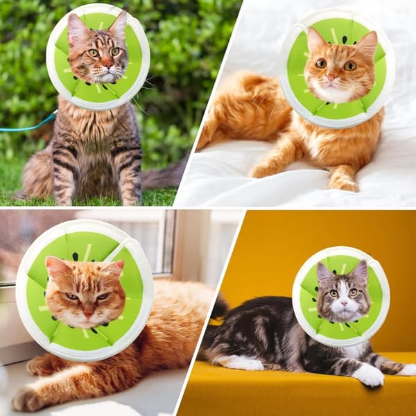 Beskyttelseshalsbånd til katte, velegnet til katte og små hunde, justerbart halshalsbånd til katte