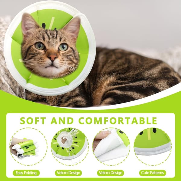 Beskyttelseshalsbånd til katte, velegnet til katte og små hunde, justerbart halshalsbånd til katte