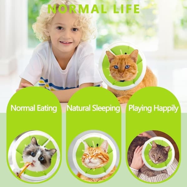 Beskyttelseshalsbånd til katte, velegnet til katte og små hunde, justerbart halshalsbånd til katte
