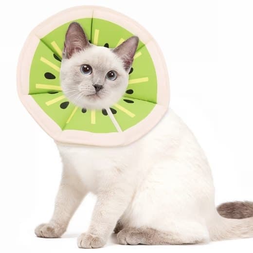 Beskyttelseshalsbånd til katte, velegnet til katte og små hunde, justerbart halshalsbånd til katte