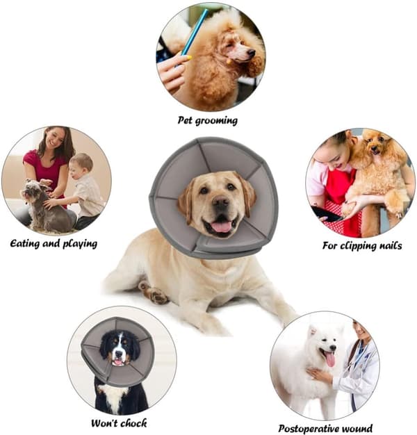 Mjuk Justerbar Pet Cone Krage, Efter Operation, Anti-Lick, Synvänlig