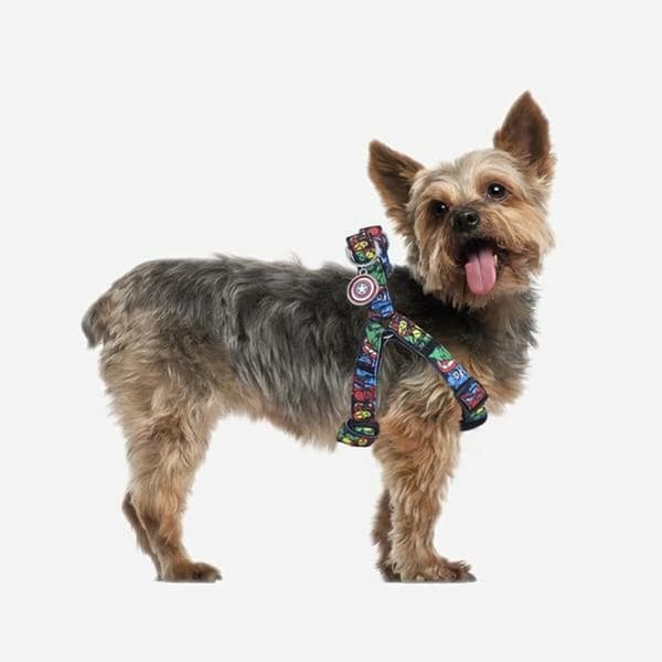Hundesele Marvel Sort