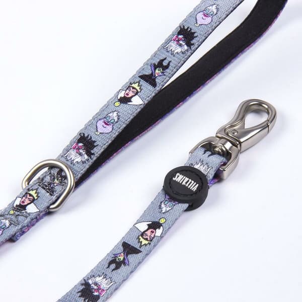 DoHundkoppel Disney