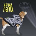 Miniatyrbillede 10 af 11: Dog Sweatshirt Batman Sort XS
