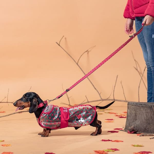 Hund regnfrakke Minnie Mouse Rød M