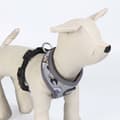 Miniatyrbillede 3 af 11: Hundesele Disney