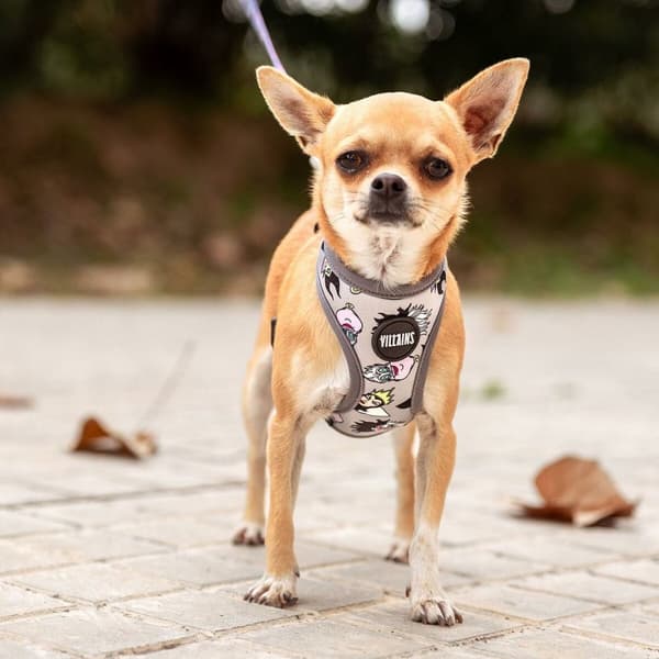 Hundesele Disney