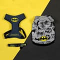 Pikkukuva 7 / 10: Koiran collegepusero Batman M Harmaa