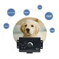 Miniatyrbild 2 av 4: Elektrisk anti-flykthalsband - INN® - Osynligt stängselsystem - 5000 m² - Hund - Pålitlig