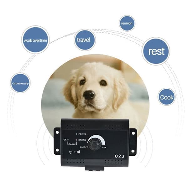 Elektrisk anti-flykthalsband - INN® - Osynligt stängselsystem - 5000 m² - Hund - Pålitlig