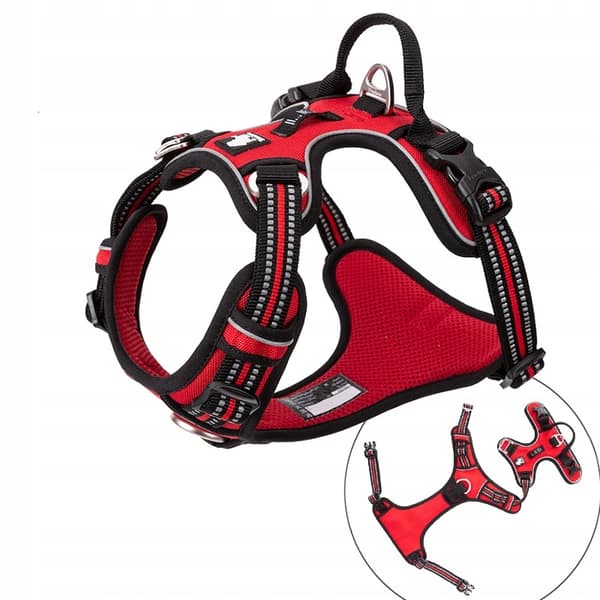 PROFESSIONAL-koiranvaljas Truelove Front Line S