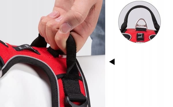 PROFESSIONAL-koiranvaljas Truelove Front Line S