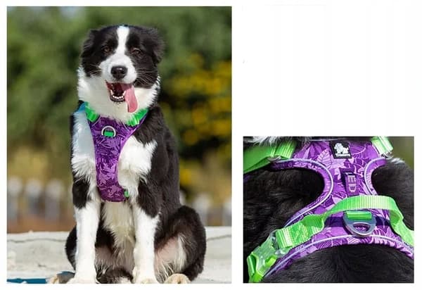 REFLEKTERENDE Lille Hundesele STRONG TRUELOVE XS
