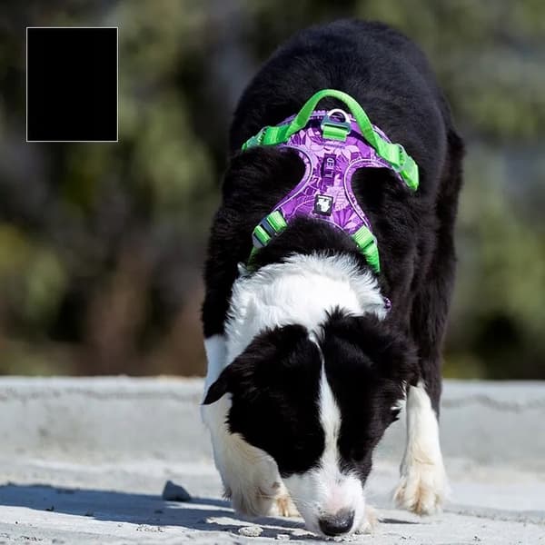 REFLEKTERENDE Lille Hundesele STRONG TRUELOVE XS