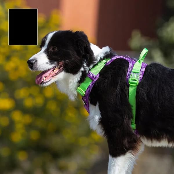 REFLEKTERENDE Lille Hundesele STRONG TRUELOVE XS