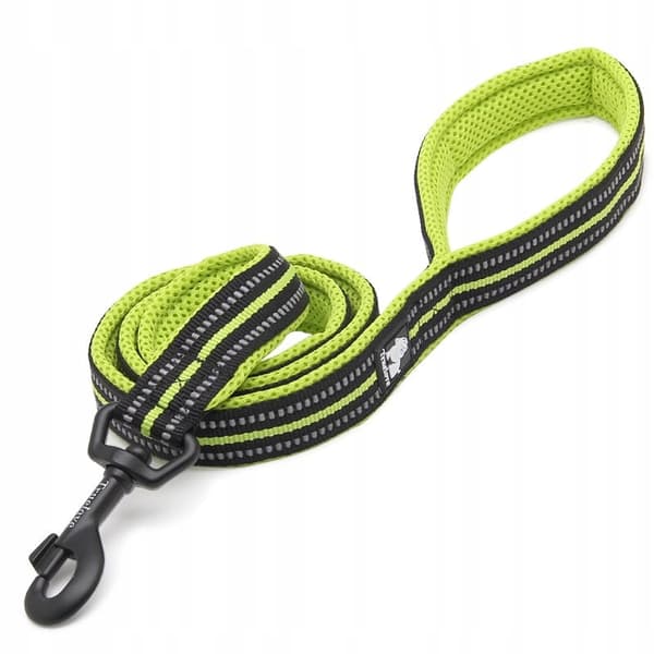 NEON koppel för liten hund Truelove York 200cm S