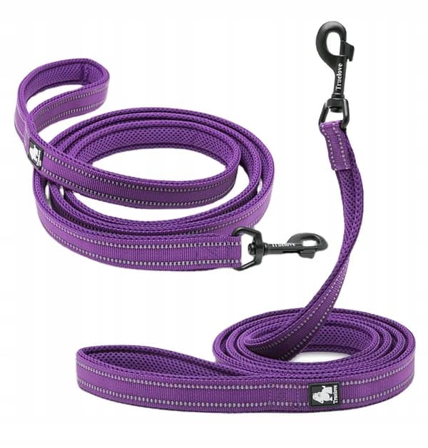 HEIJASTAVA KOIRAN TALUTIN VIOLETTI 200 cm M