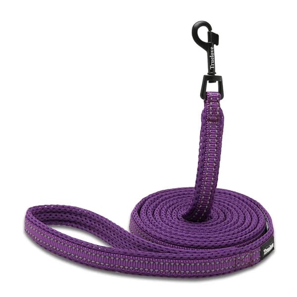 HEIJASTAVA KOIRAN TALUTIN VIOLETTI 200 cm M