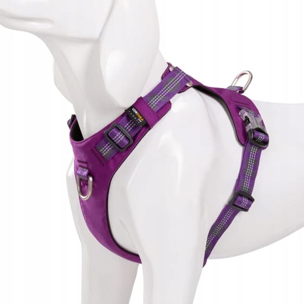 Adventure Dog Truelove Labrador XL hundesele