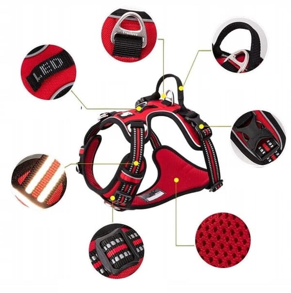 STRONG GUARD Truelove Premium XL Hundsele