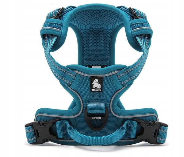 SOLID Hundesele Truelove Boston Terrier S