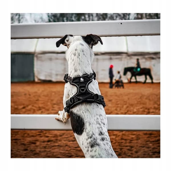 SORT Miniature Hundesele Truelove LET XS