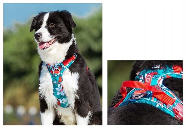 LÄTT REFLEKTERANDE Små Hundsele Truelove S