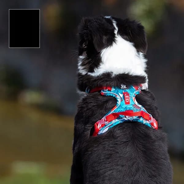 LÄTT REFLEKTERANDE Små Hundsele Truelove S