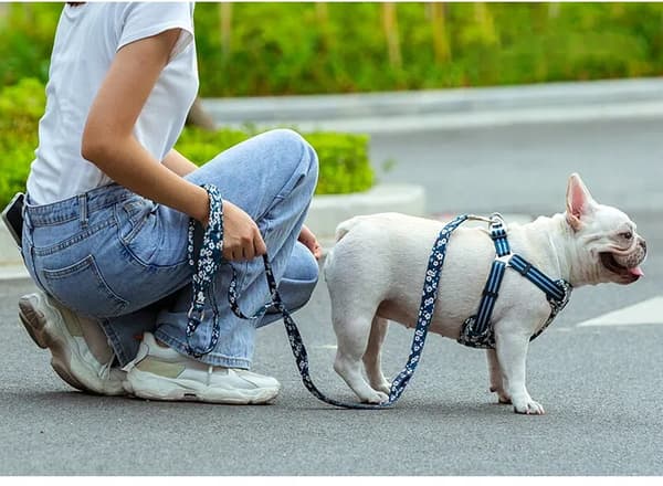 DESIGNER Hundesnor STRONG TRUELOVE Blossom S