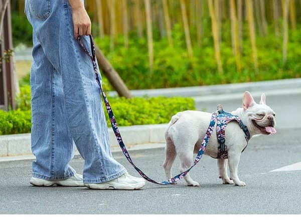 DESIGNER Hundesnor STRONG TRUELOVE Blossom S