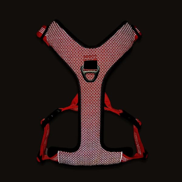 SORT Beskyttelsessele til hunde EASY WALK TRUELOVE XL