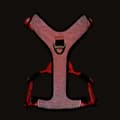 Miniatyrbillede 5 af 11: SORT Beskyttelsessele til hunde EASY WALK TRUELOVE XL