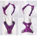 Miniatyrbillede 4 af 11: LET Adventure SOFT TRUELOVE XXS hundesele