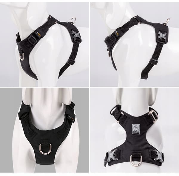 BLACK Adventure SOFT TRUELOVE XS -koiranvaljaat