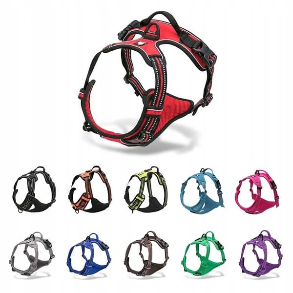 REFLEKTIV Front Line Truelove XS Hundesele