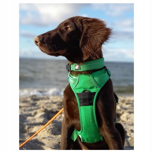 Truelove Front Line Hundesele DURABLE M
