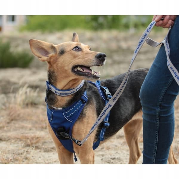 Front Line miniature hundesele med håndtag XS