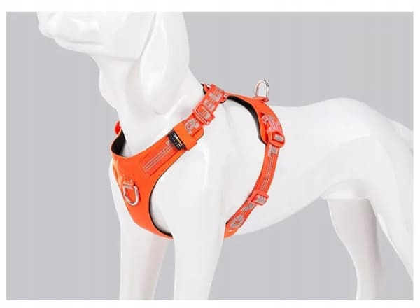 Adventure Dog Truelove Bulldog Sele S