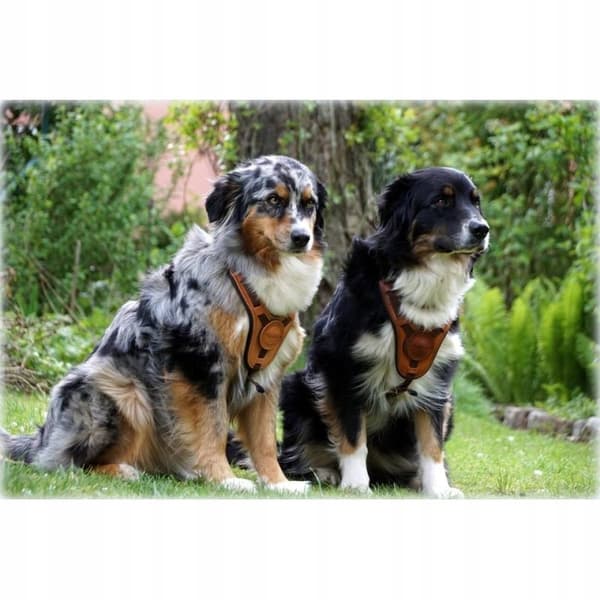 NIGGELOH Mantrailing hundesporingssele