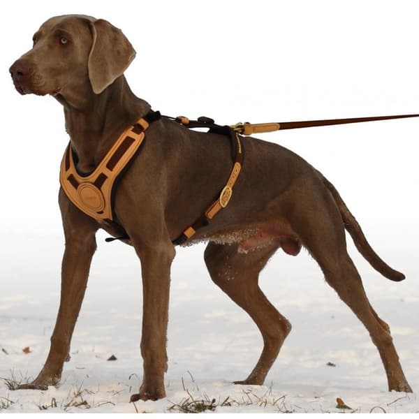 NIGGELOH Mantrailing hundesporingssele