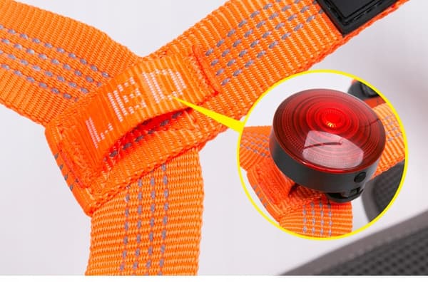 Easy walk-sele TIL STORE HUNDE Truelove Lumen XL