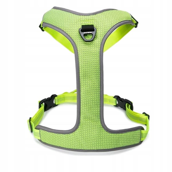 Guard easy walk-sele för hundar Truelove Lumen