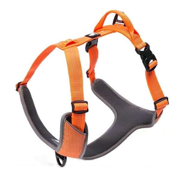 LÄTT TRUELOVE LUMEN DOG XL skyddssele för hundar