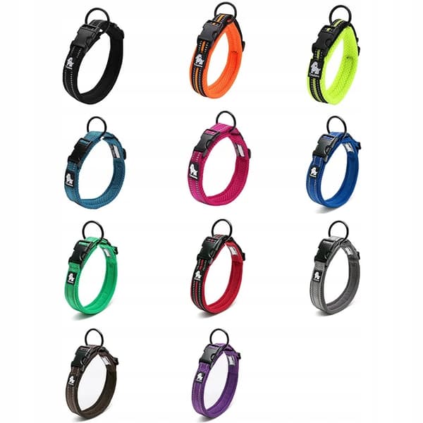 GRÖNT Halsband för stora hundar STRONG TRUELOVE XL