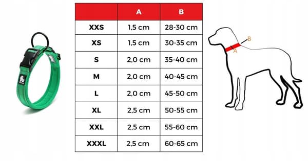 GRØNT Halsbånd til store hunde STRONG TRUELOVE XXL