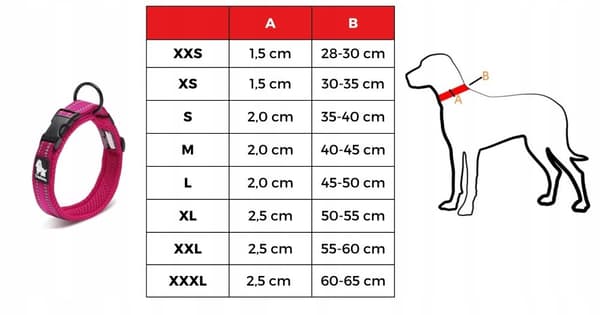 VAALEANPUNAINEN panta suurille koirille STRONG TRUELOVE 3XL